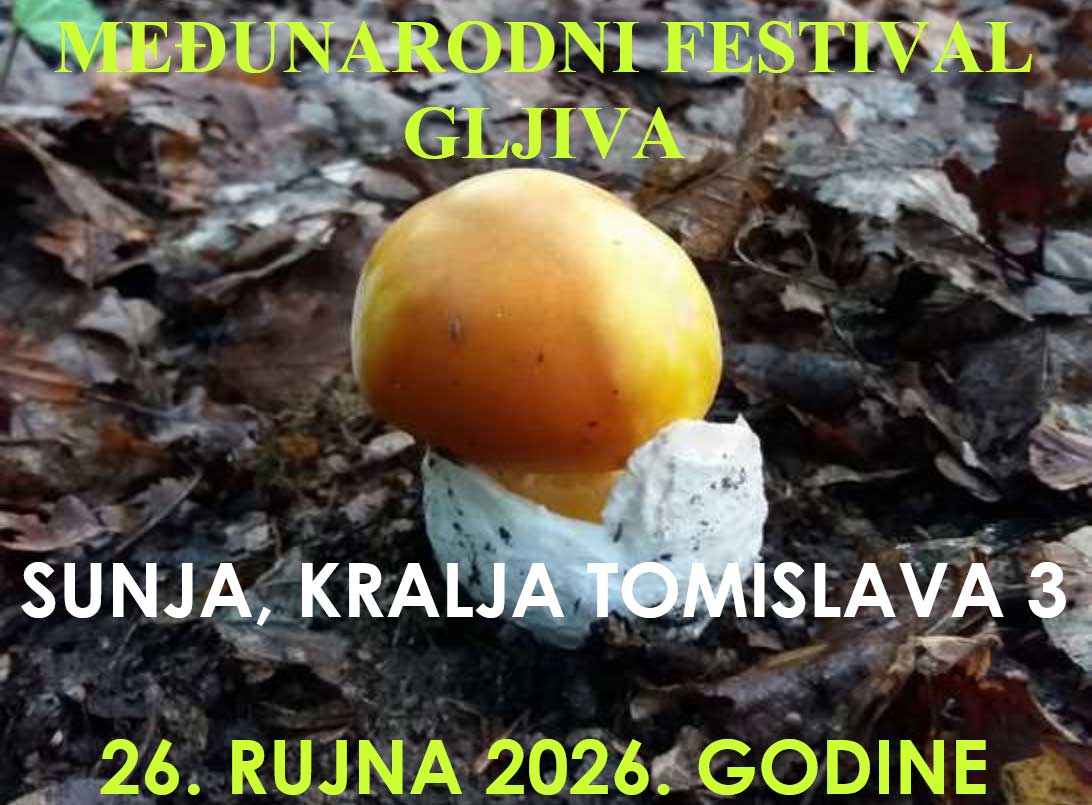 Međunarodni festival gljiva u Sunji